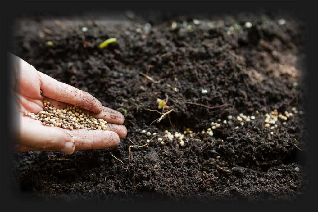 grow lights for Horticulture